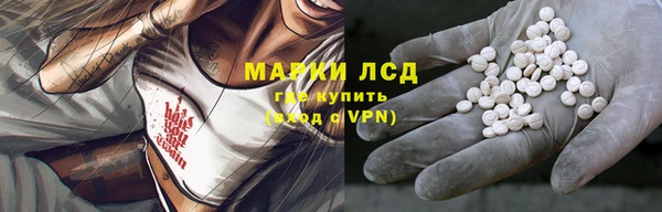 spice Беломорск