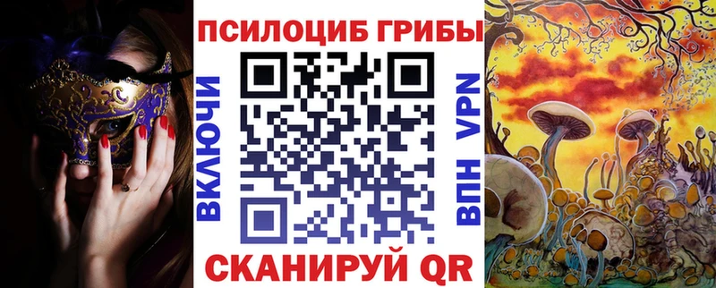 Купить где  Темрюк  Псилоцибиновые грибы мицелий 