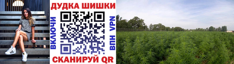 Шишки марихуана White Widow Темрюк