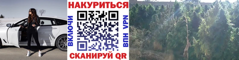 Бошки марихуана гибрид  Купить  Темрюк 